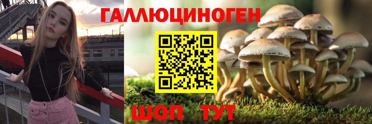 Галлюциногенные грибы прущие грибы  Вход с VPN  купить наркоту  Приморско-Ахтарск 